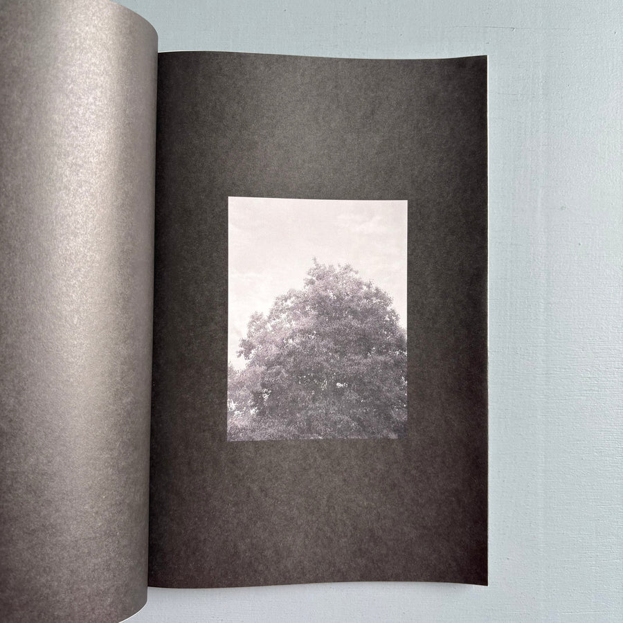 Elizabeth Alderliesten - Remember who you once were - Self-published 2024 - Saint-Martin Bookshop