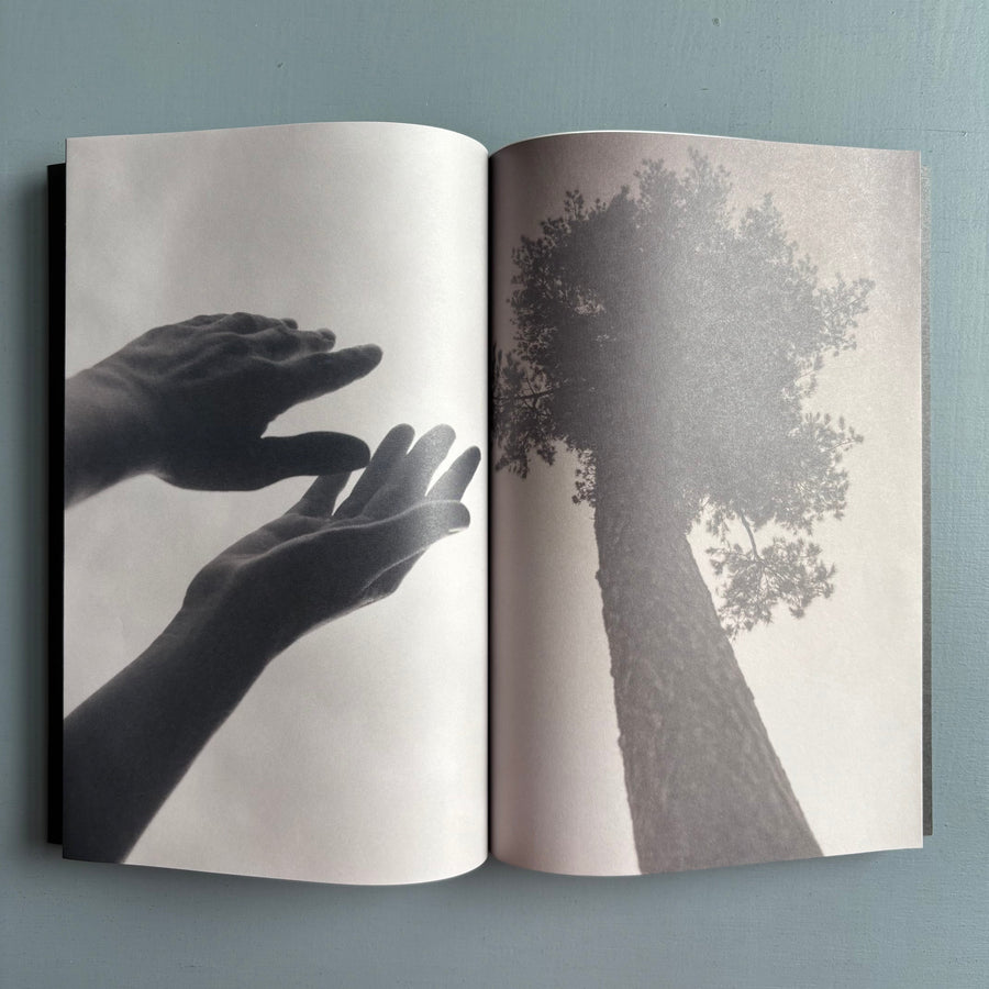 Elizabeth Alderliesten - Remember who you once were - Self-published 2024 - Saint-Martin Bookshop