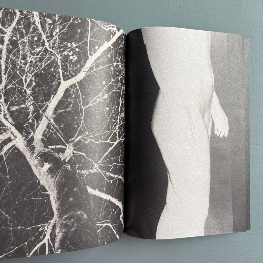 Elizabeth Alderliesten - Remember who you once were - Self-published 2024 - Saint-Martin Bookshop
