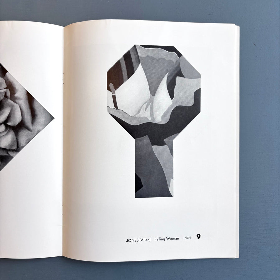 Erotic Art 1966 - Sidney Janis Gallery 1966