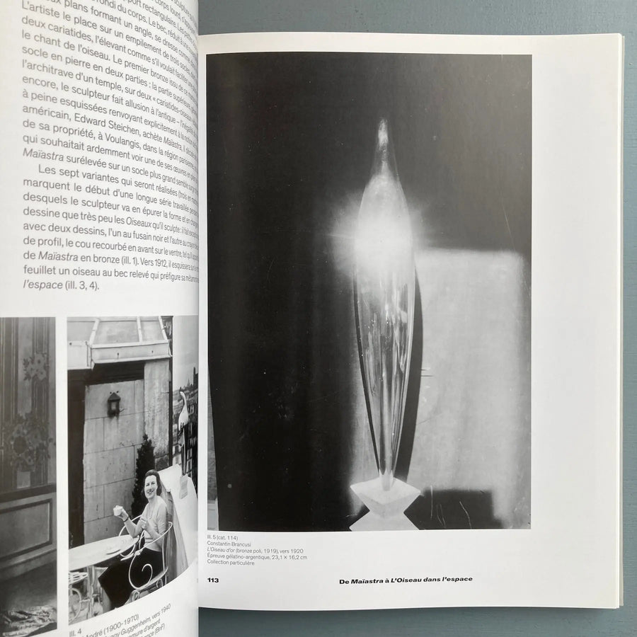 Brancusi: La sublimation de la forme - Snoeck / Europalia 2019 - Saint-Martin Bookshop