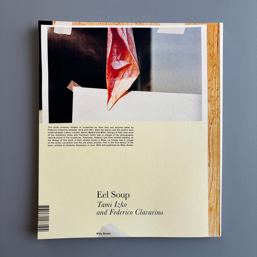 Federico Clavarino & Tami Izko - Eel Soup - Witty Books 2022 - Saint-Martin Bookshop