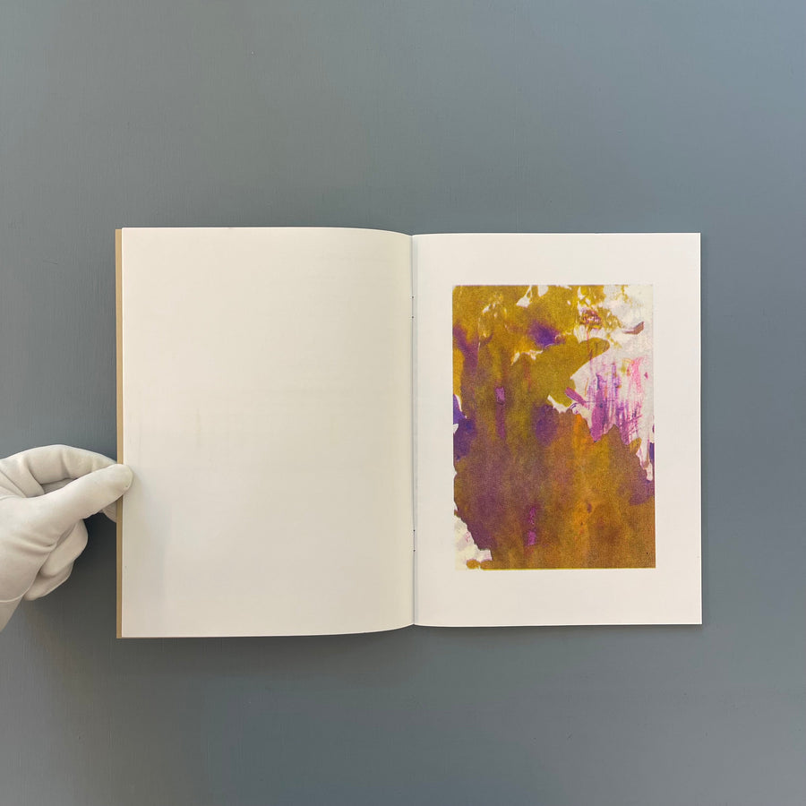 Felicia Atkinson & Bartolomé Sanson - The Last Frontier - Shelter Press 2014