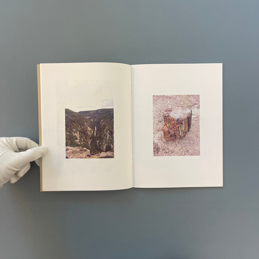 Felicia Atkinson & Bartolomé Sanson - The Last Frontier - Shelter Press 2014