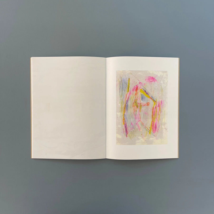 Felicia Atkinson & Bartolomé Sanson - The Last Frontier - Shelter Press 2014