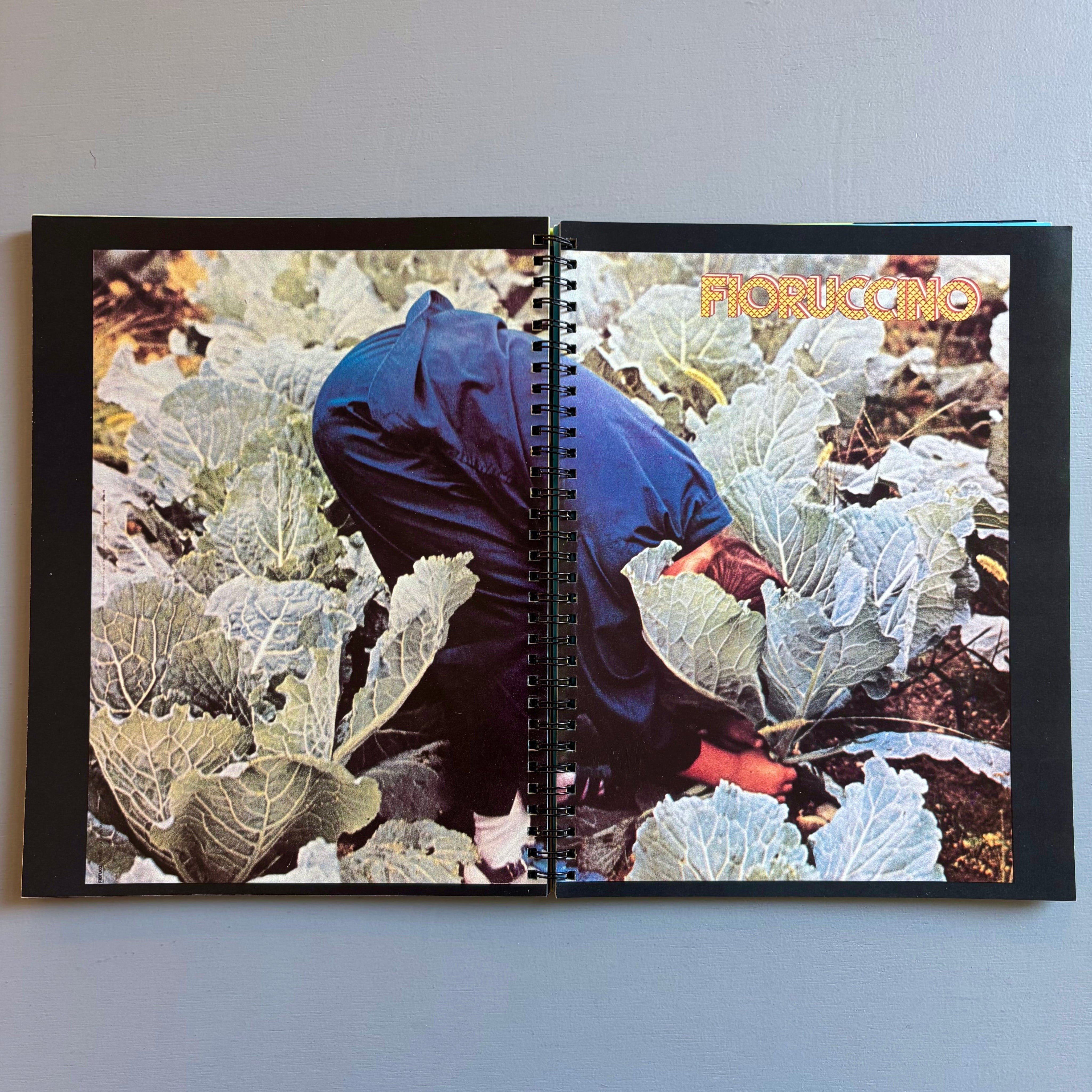 Fiorucci - The Book by Eve Babitz - Harlin Quist 1980 - Saint