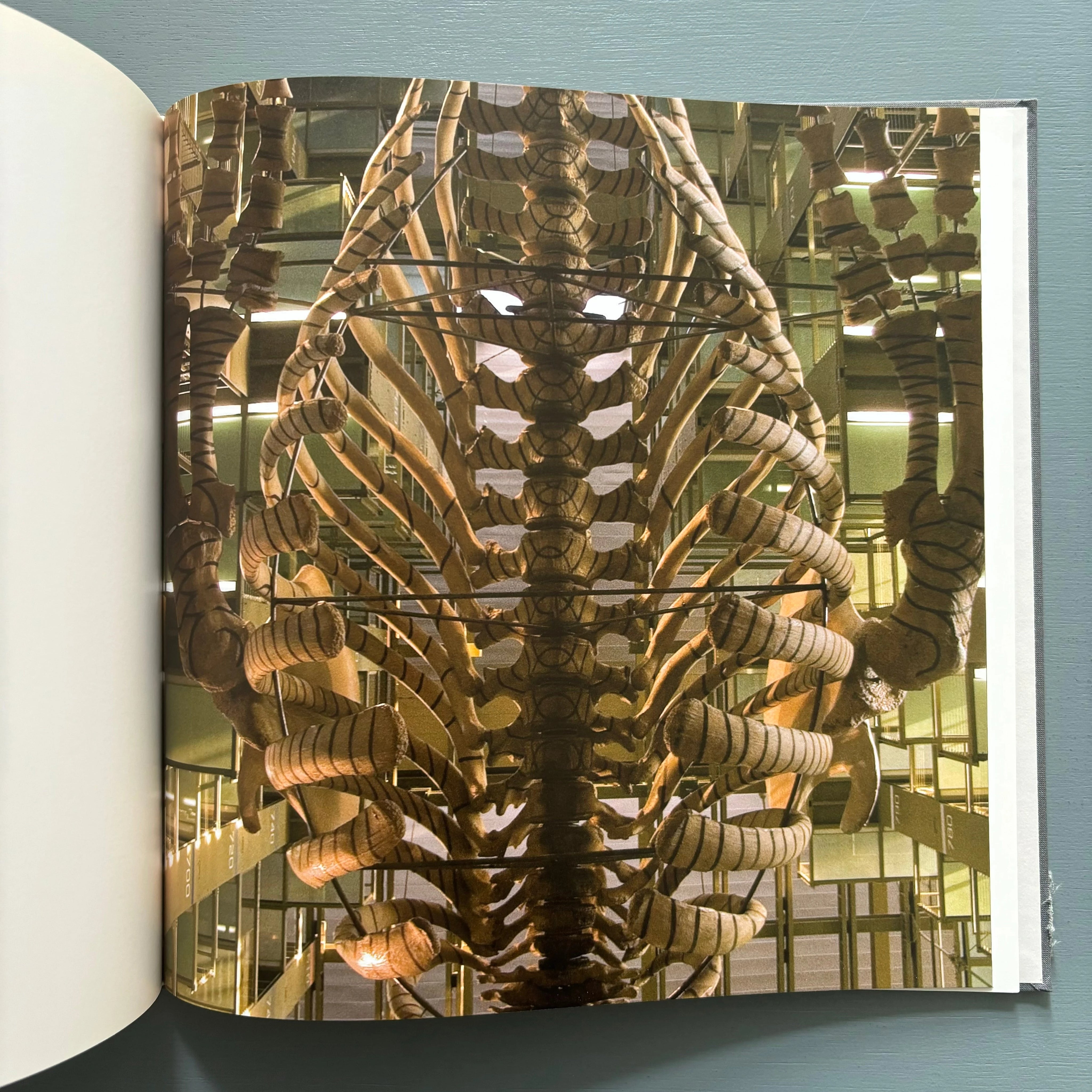 Gabriel Orozco - White Cube 2006 - Saint-Martin Bookshop