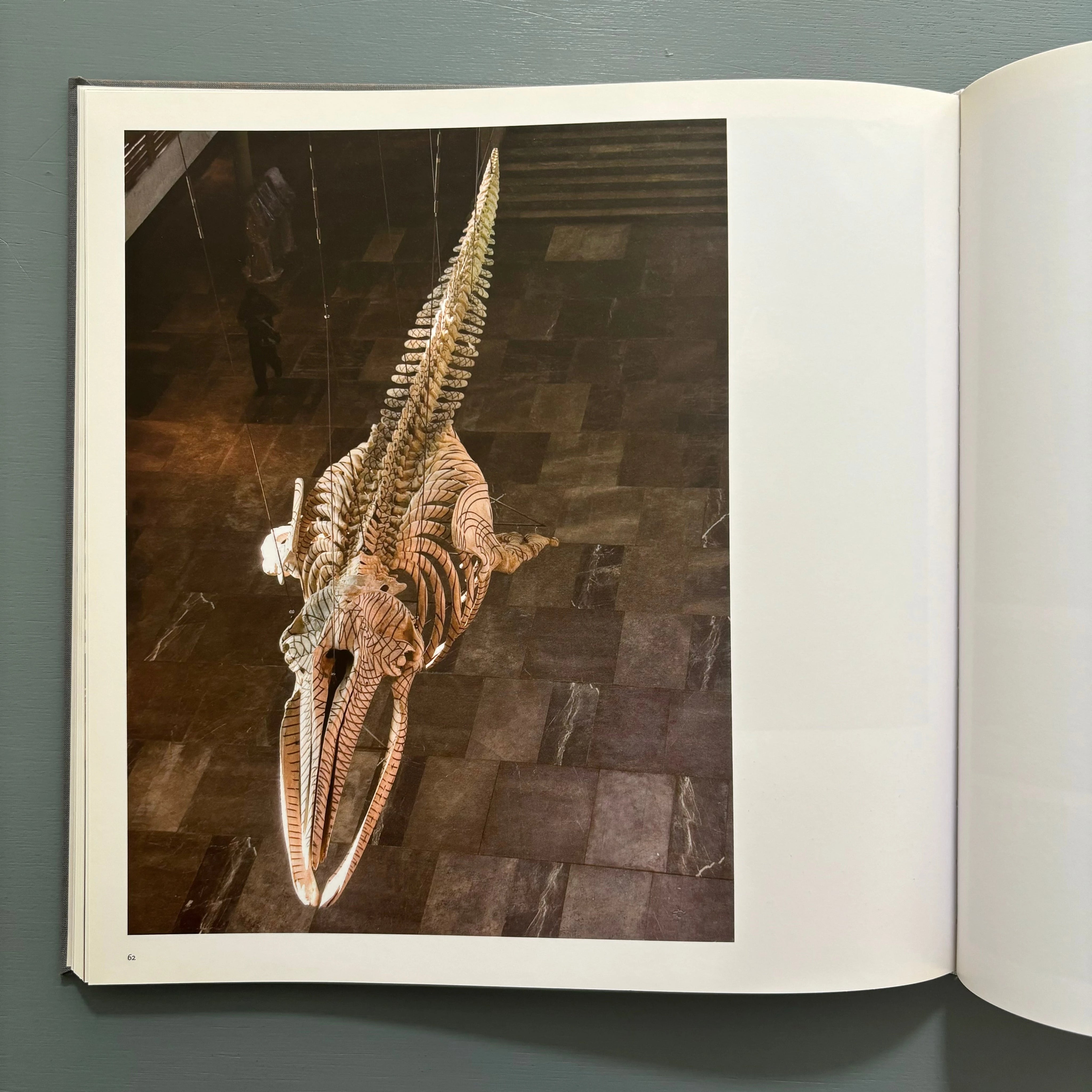 Gabriel Orozco ポスター Gabriel Orozco | Untitled (2023) | Available for Sale | Artsy