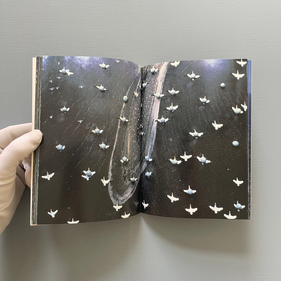 Gabriel Orozco (signed) - Triunfo de la libertad No. 18 Tlalpan, C.P. 14000 - Oktagon 1995 - Saint-Martin Bookshop