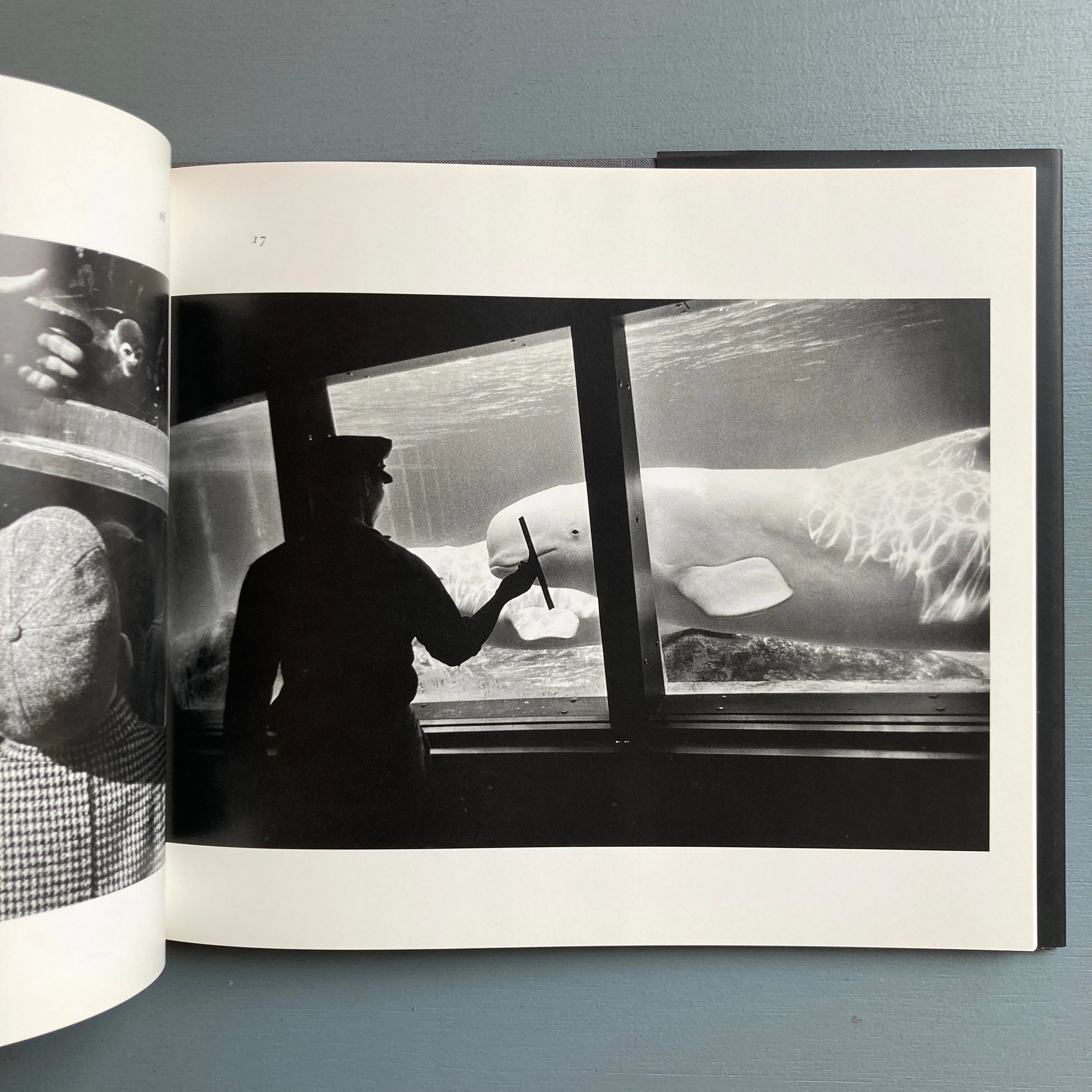 Garry-Winogrand---The-Animals-
