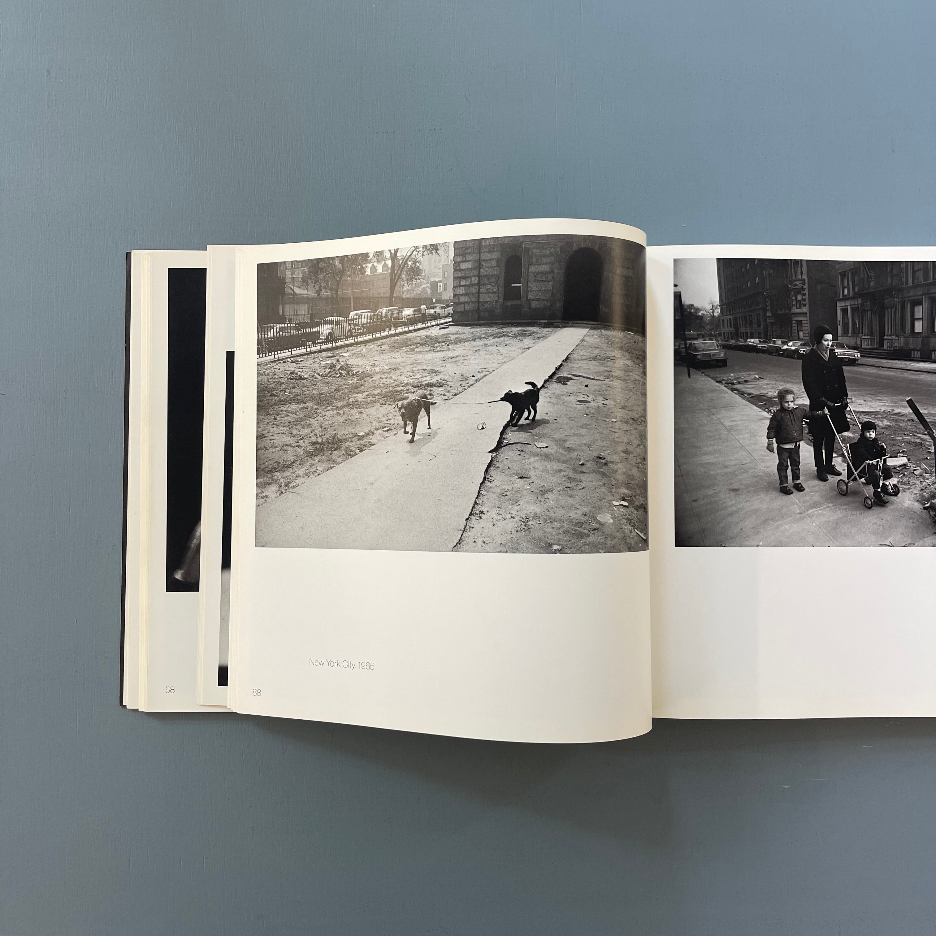 Gary Winogrand - Figments from the real world - Moma 1988