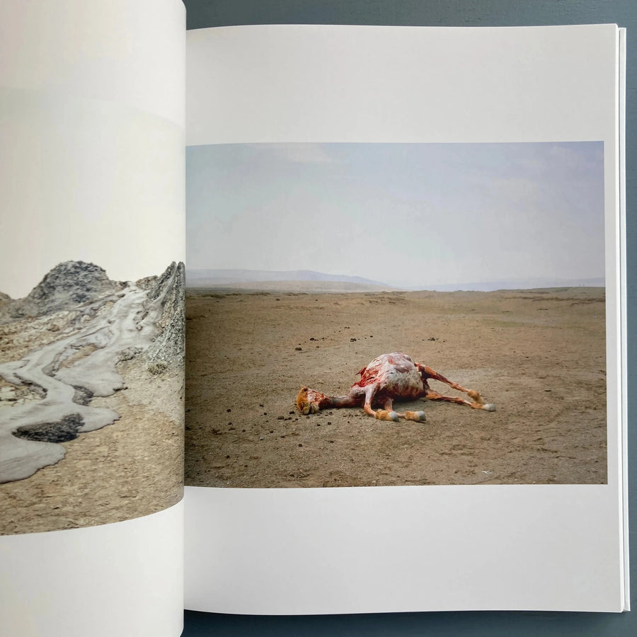 Geert Goiris - Lying Awake - Roma Publications 2012 - Saint-Martin Bookshop