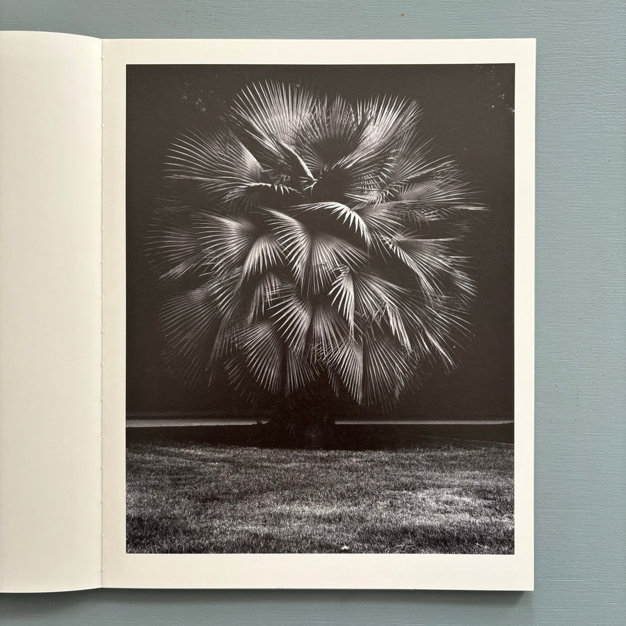 Geert Goiris - Prolifération - Roma Publications 2014 - Saint-Martin Bookshop