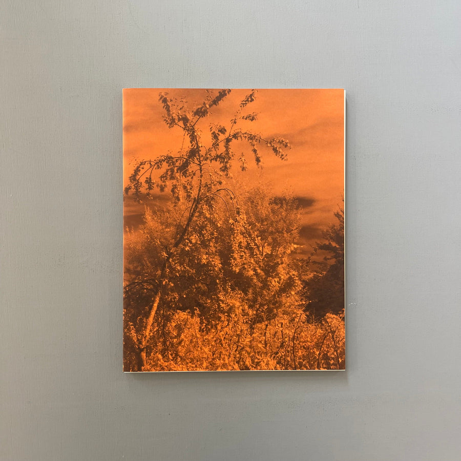 Geert Goiris (signed) - Peak Oil (Limited Edition With Print) - Roma 2017