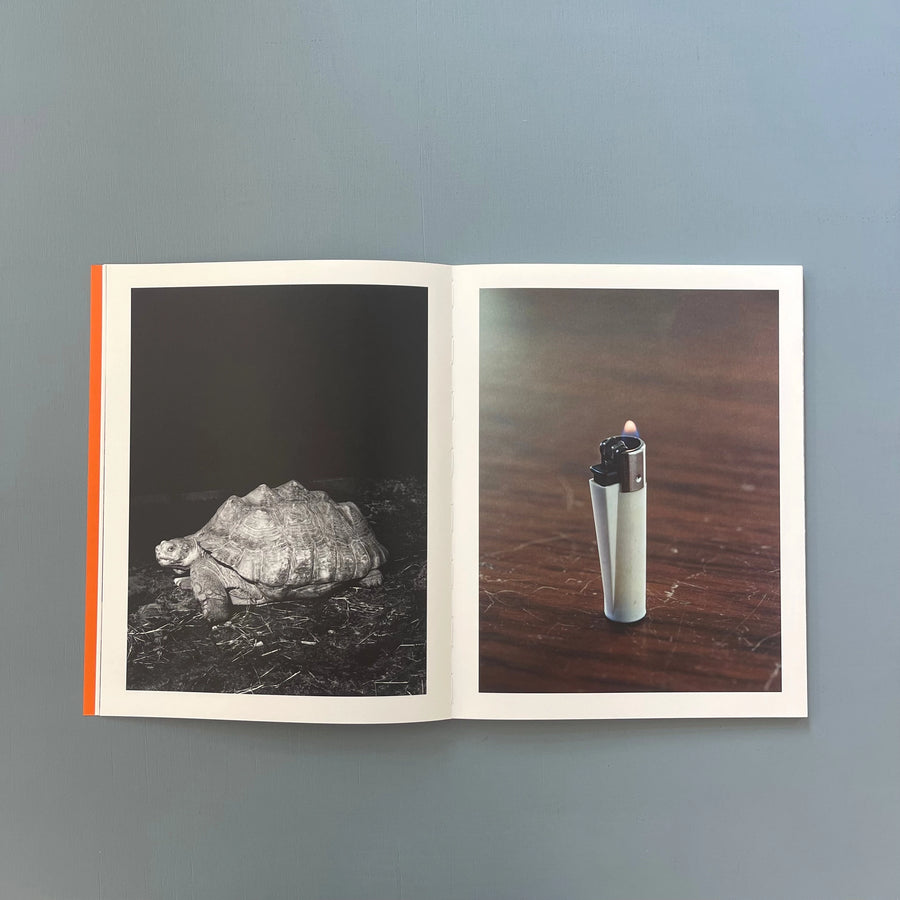 Geert Goiris (signed) - Peak Oil (Limited Edition With Print) - Roma 2017