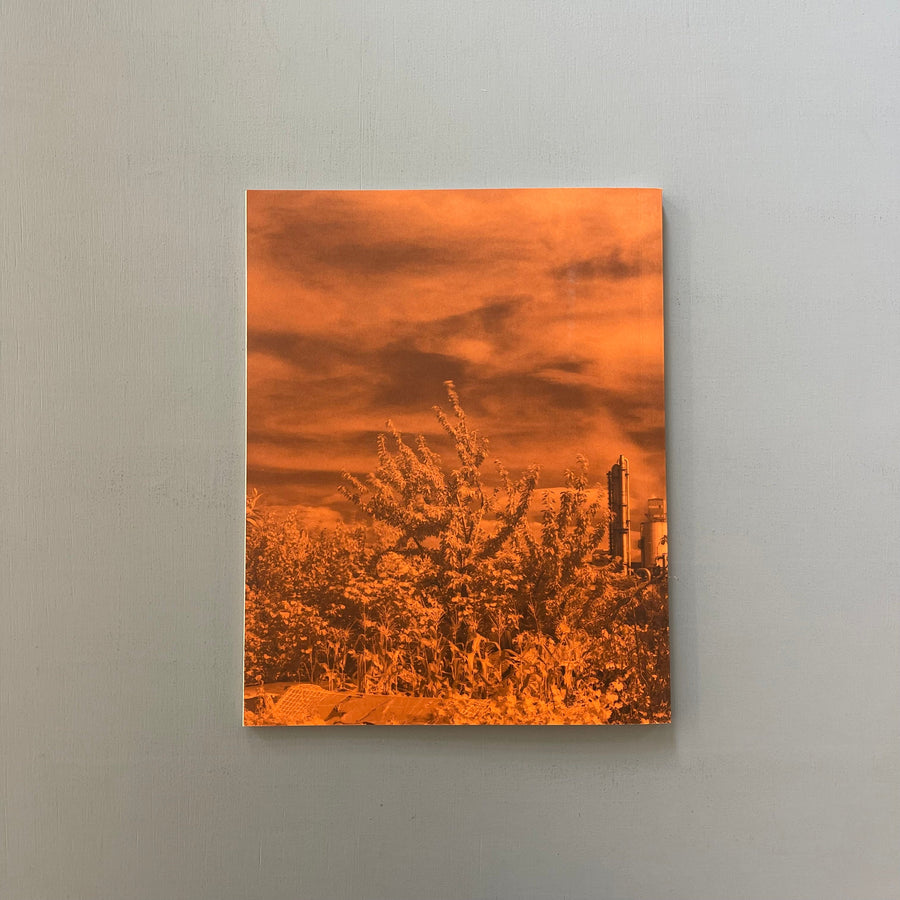 Geert Goiris (signed) - Peak Oil (Limited Edition With Print) - Roma 2017