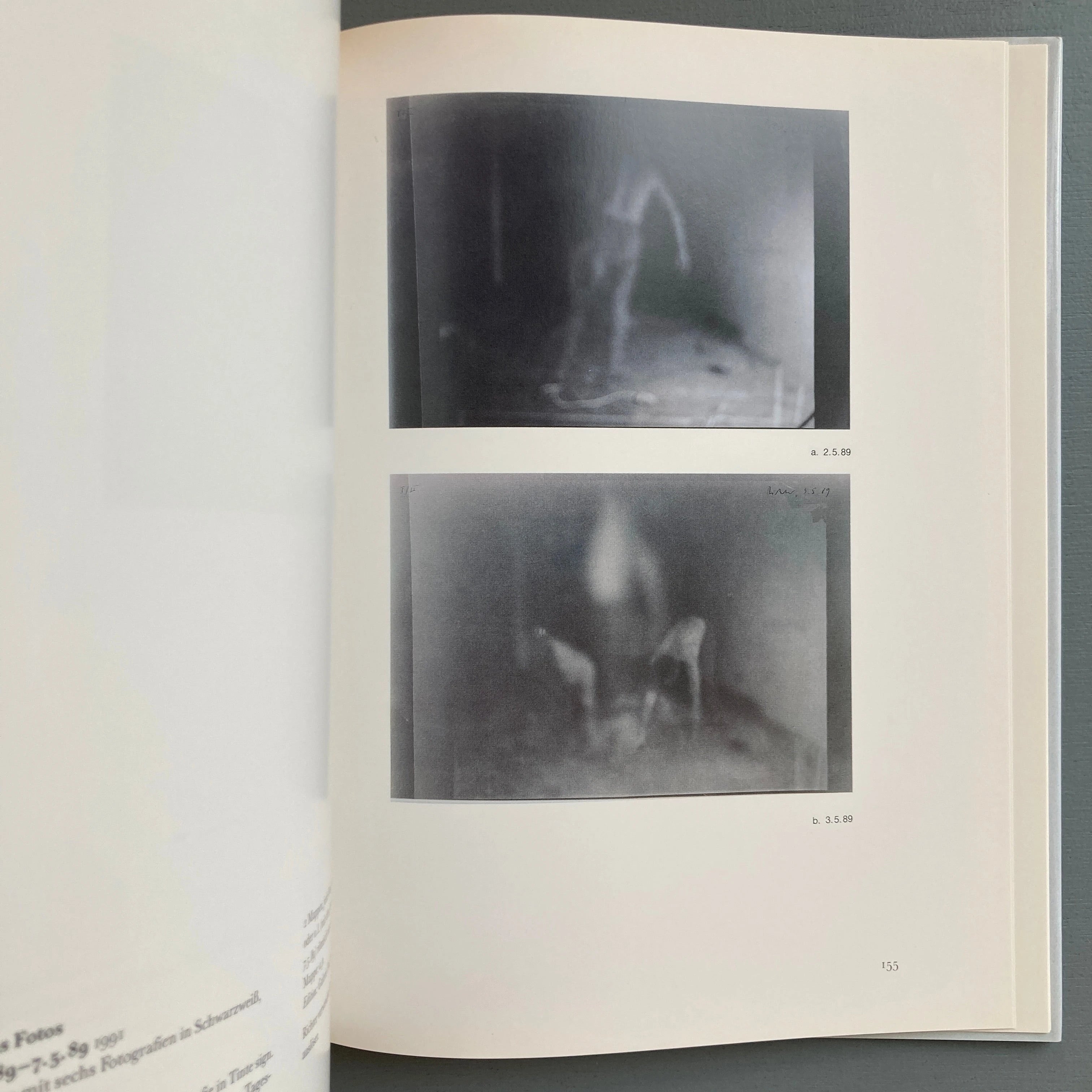 Gerhard Richter - Editionen 1965-1993 - Fred Jahn 1993 - Saint