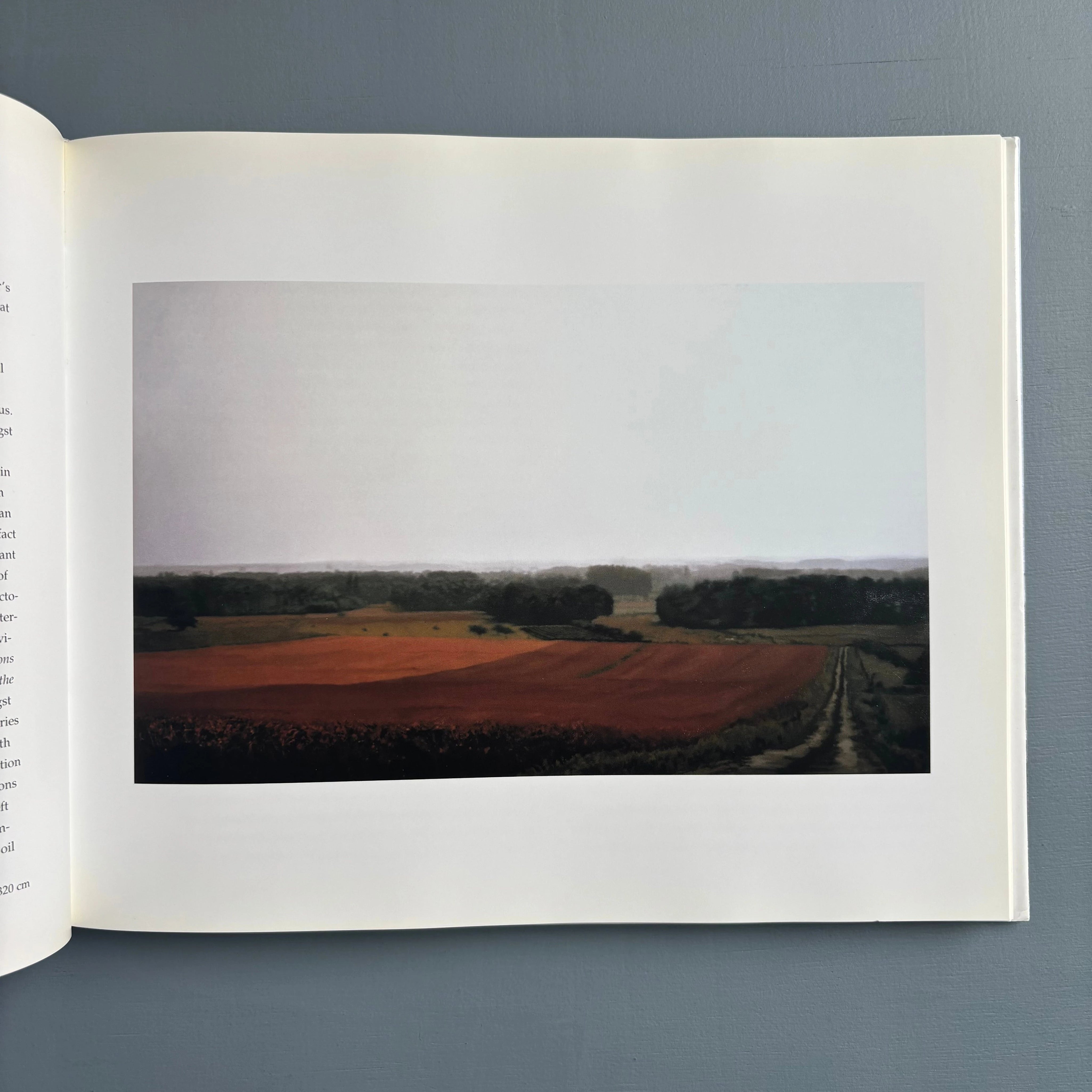 Gerhard Richter - Landscapes - Hatje Cantz 1998 - Saint-Martin