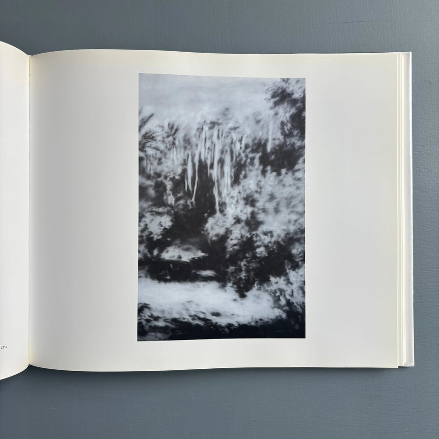Gerhard Richter - Landscapes - Hatje Cantz 1998 - Saint-Martin
