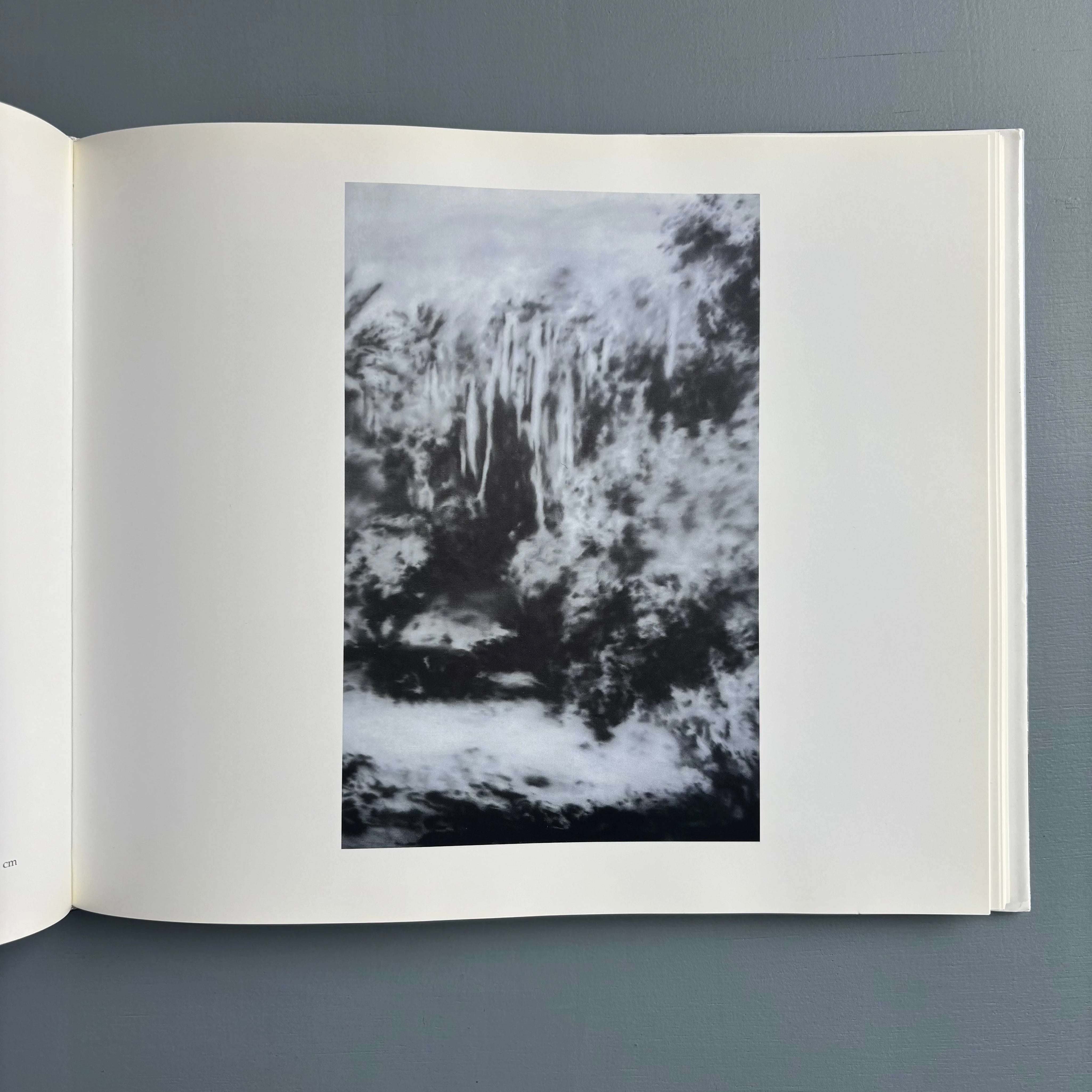 Gerhard Richter Landscape アートブック 写真集 Gerhard Richter: Landscape