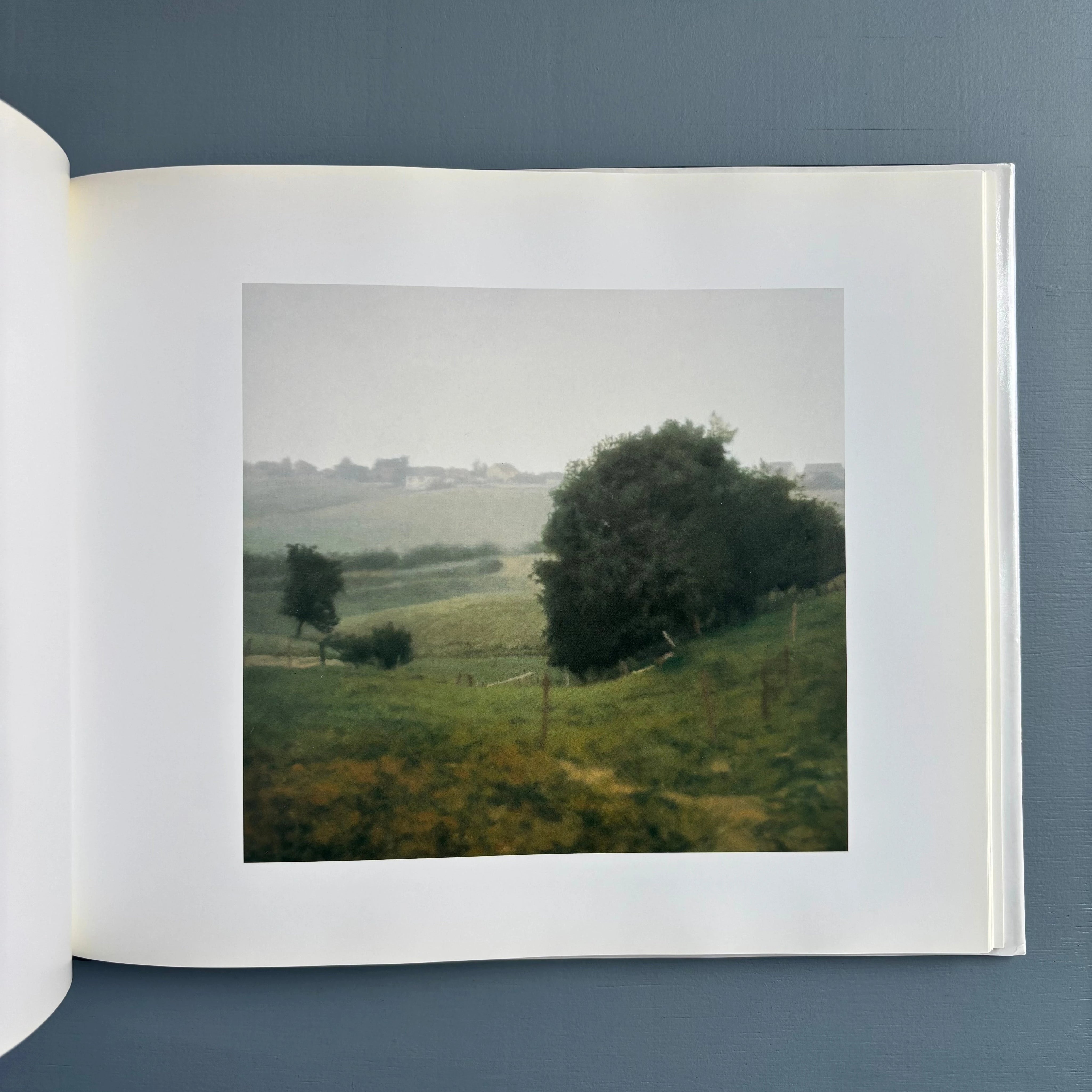 Gerhard Richter - Landscapes - Hatje Cantz 1998 - Saint-Martin