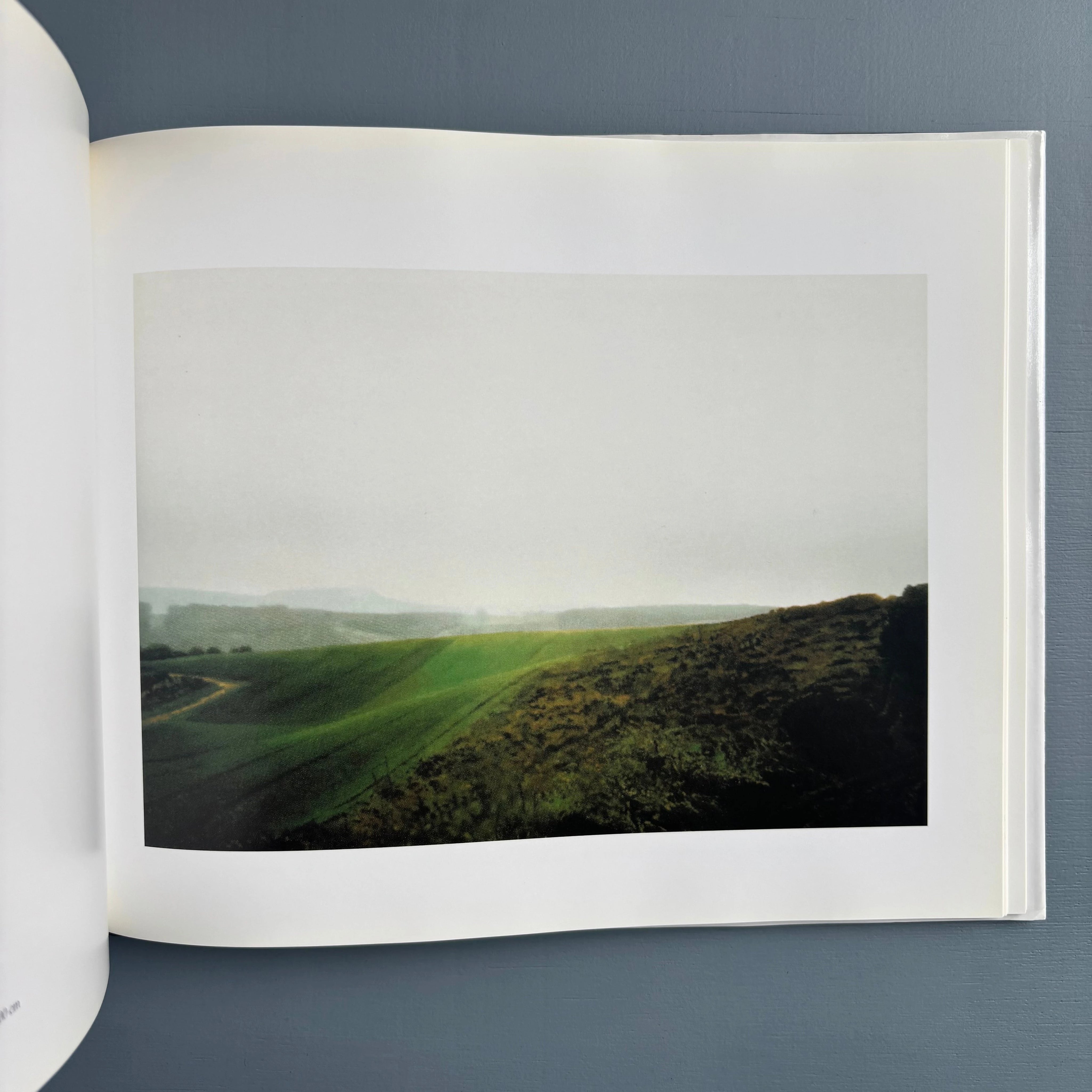 アート・デザイン・音楽 Gerhard Richter LANDSCAPES Gerhard Richter - Landscapes - Hatje Cantz 1998 - Saint-Martin