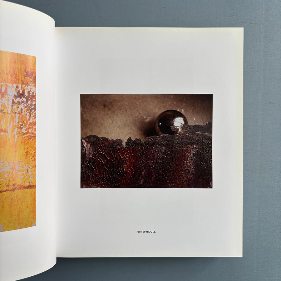Gerhard Richter - Übermalte Fotografien - Hatje Cantz 2008 - Saint