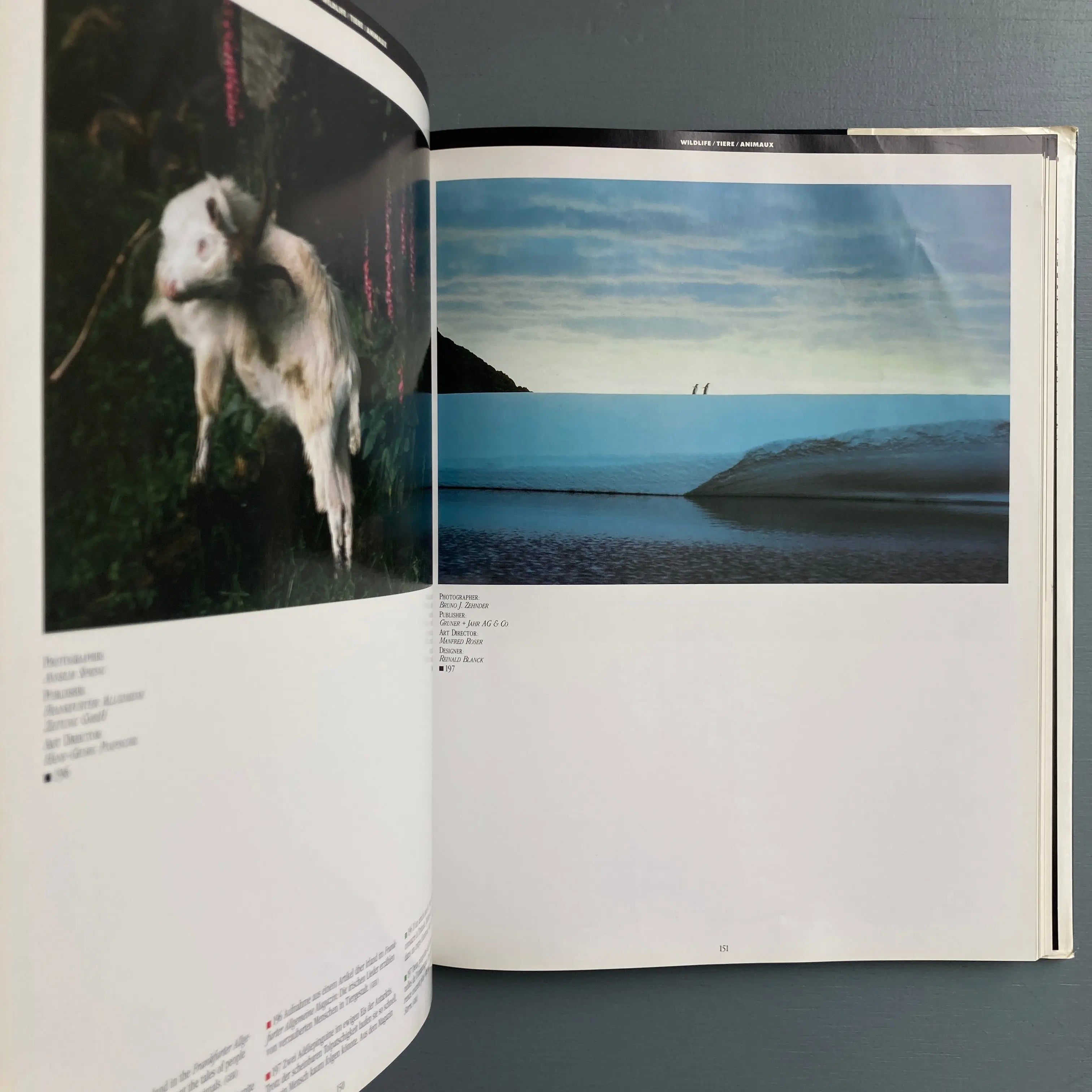 Graphis Photo 89 - The international Annual of Photography