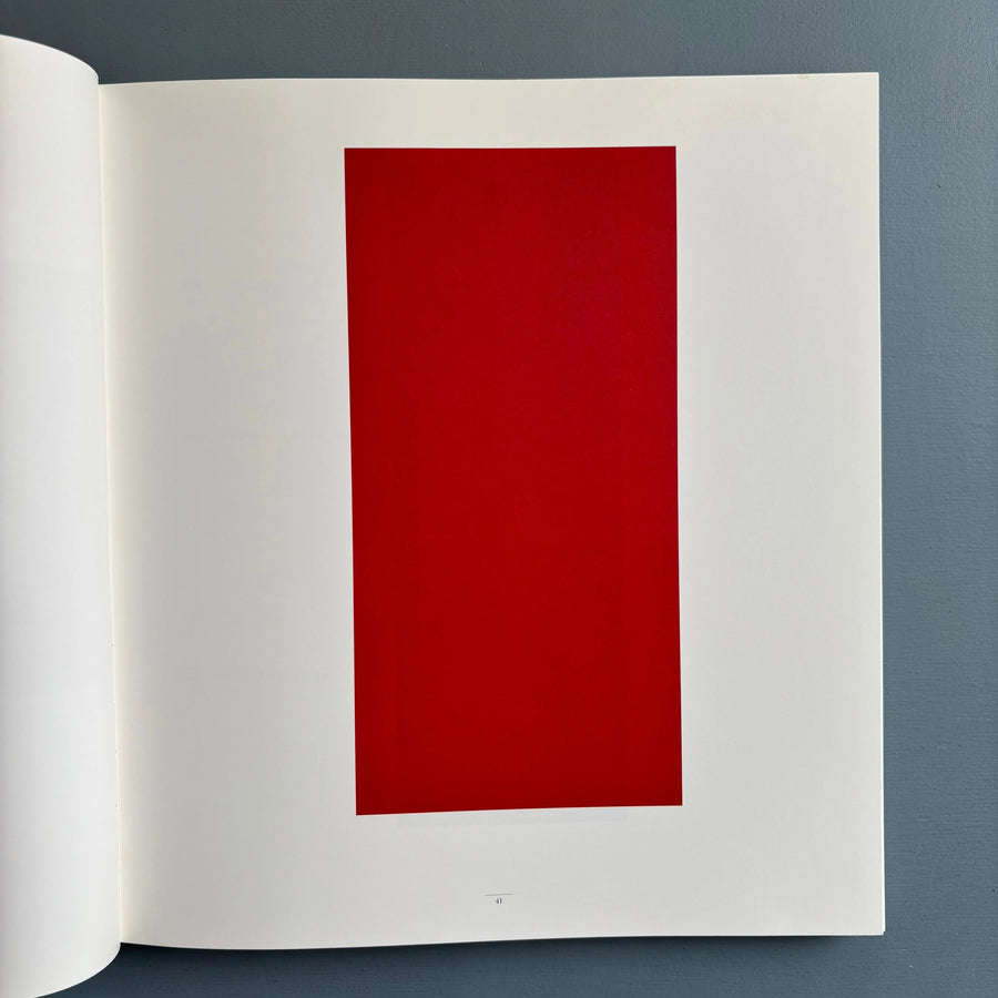 Günther Förg - Edition Cantz 1990