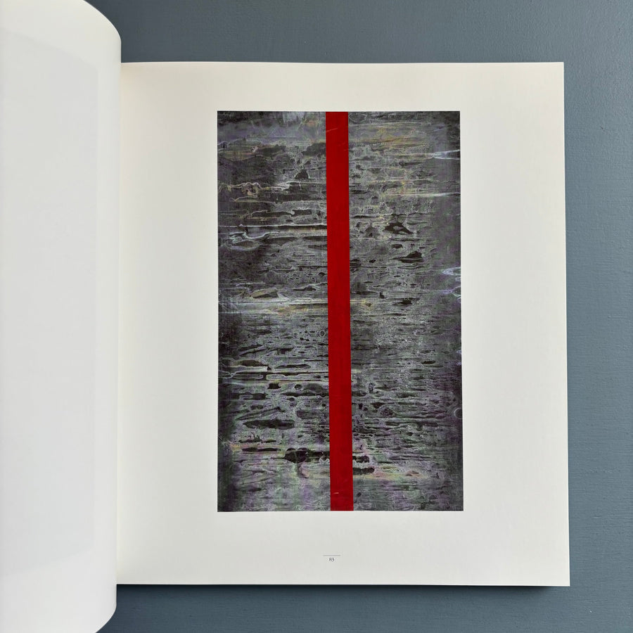 Günther Förg - Edition Cantz 1990