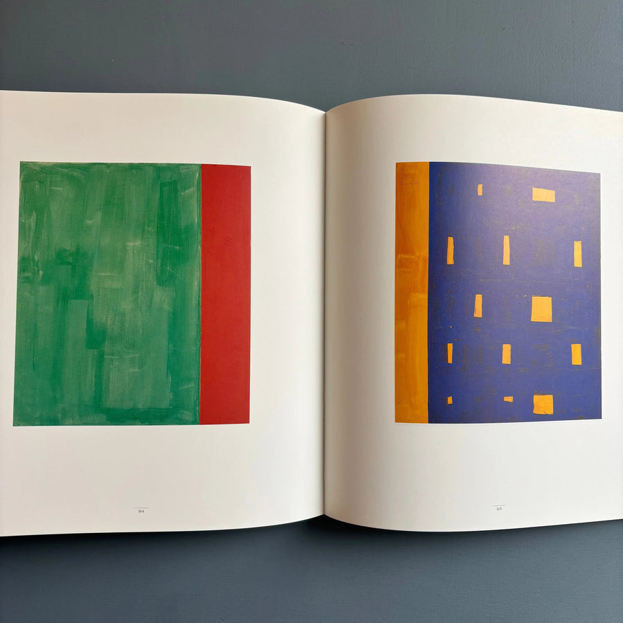 Günther Förg - Edition Cantz 1990