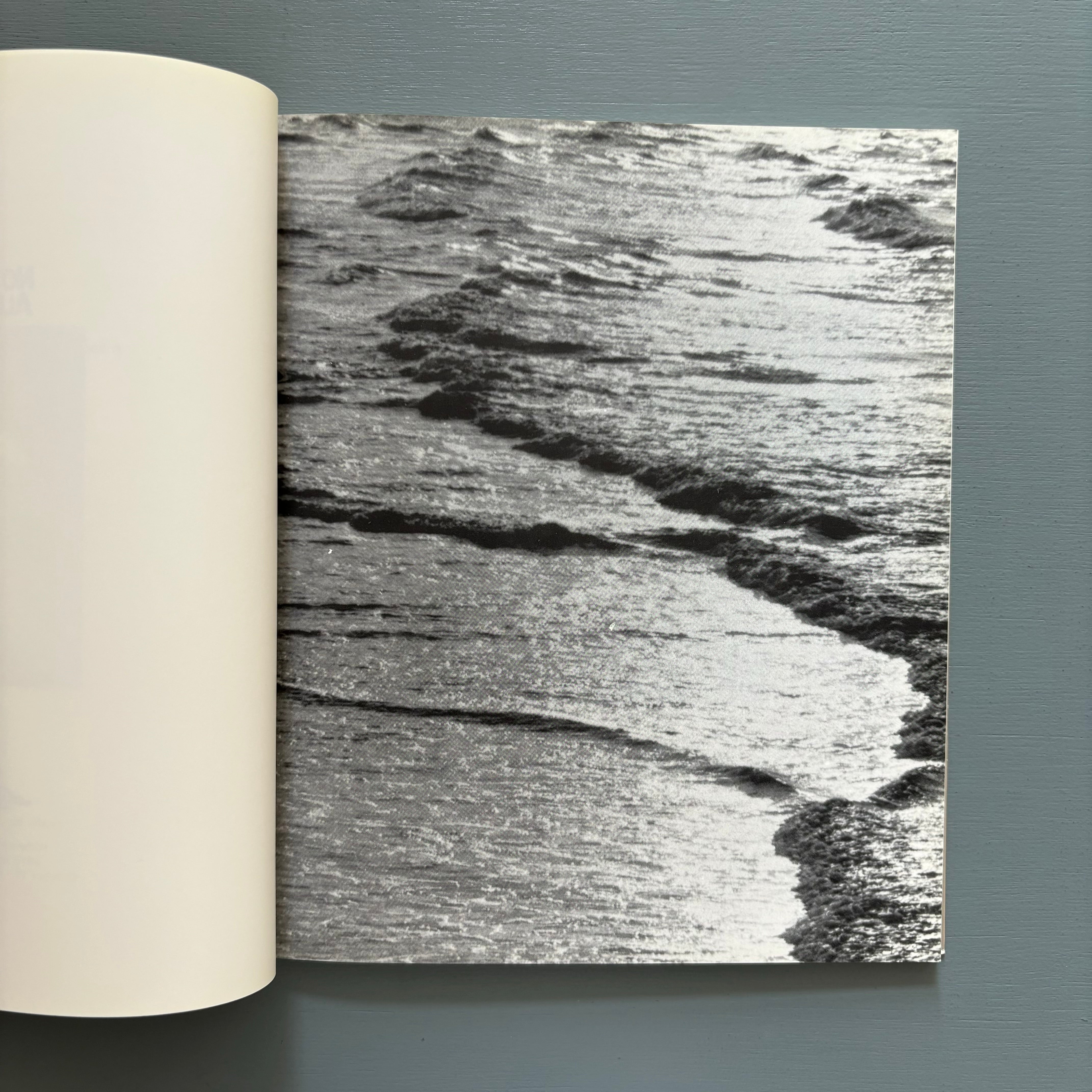 Haim Steinbach - No Rocks Allowed. - Witte de With 1992 - Saint-Martin ...