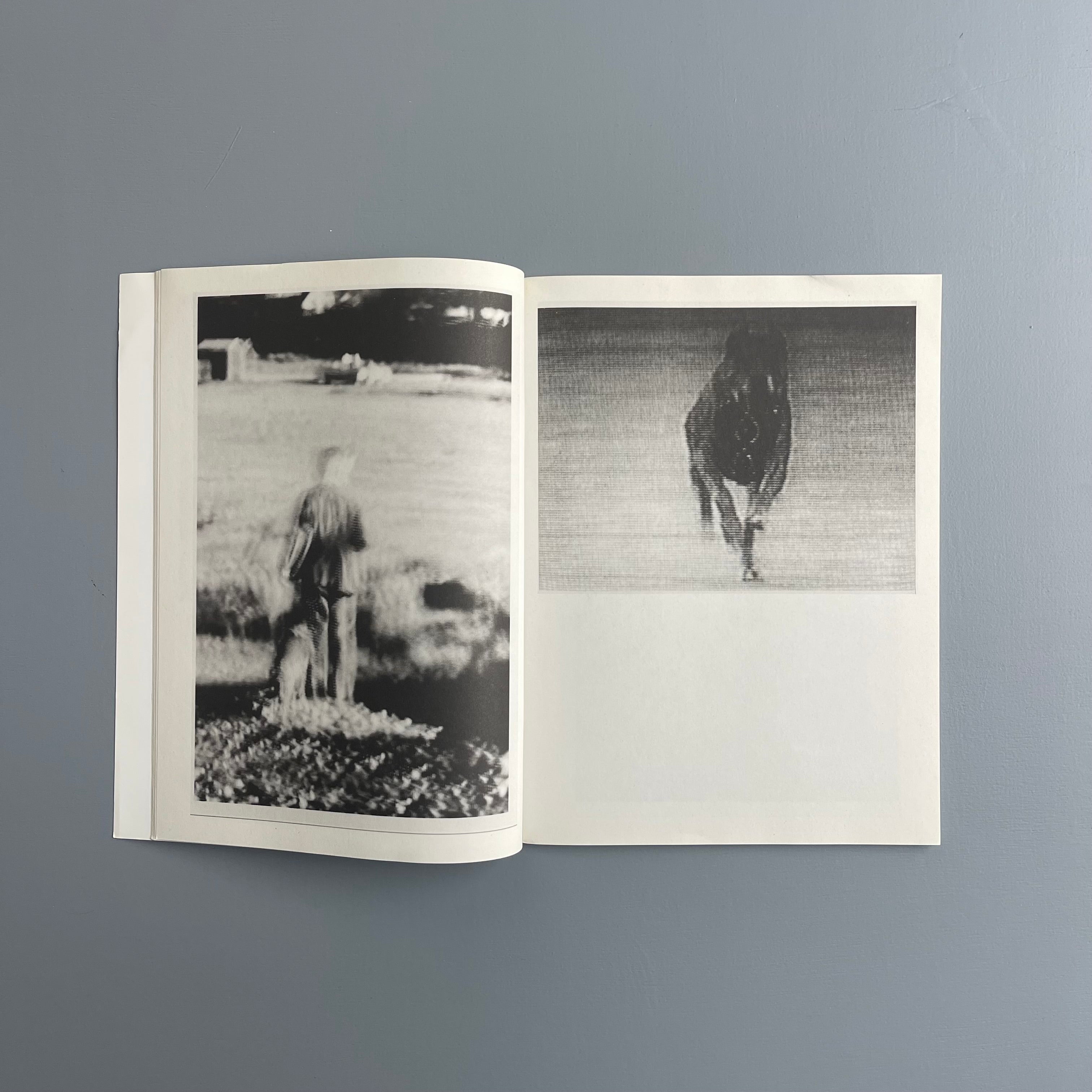 Harmony Korine - Pigxtras - Purple Book 2008 - Saint-Martin