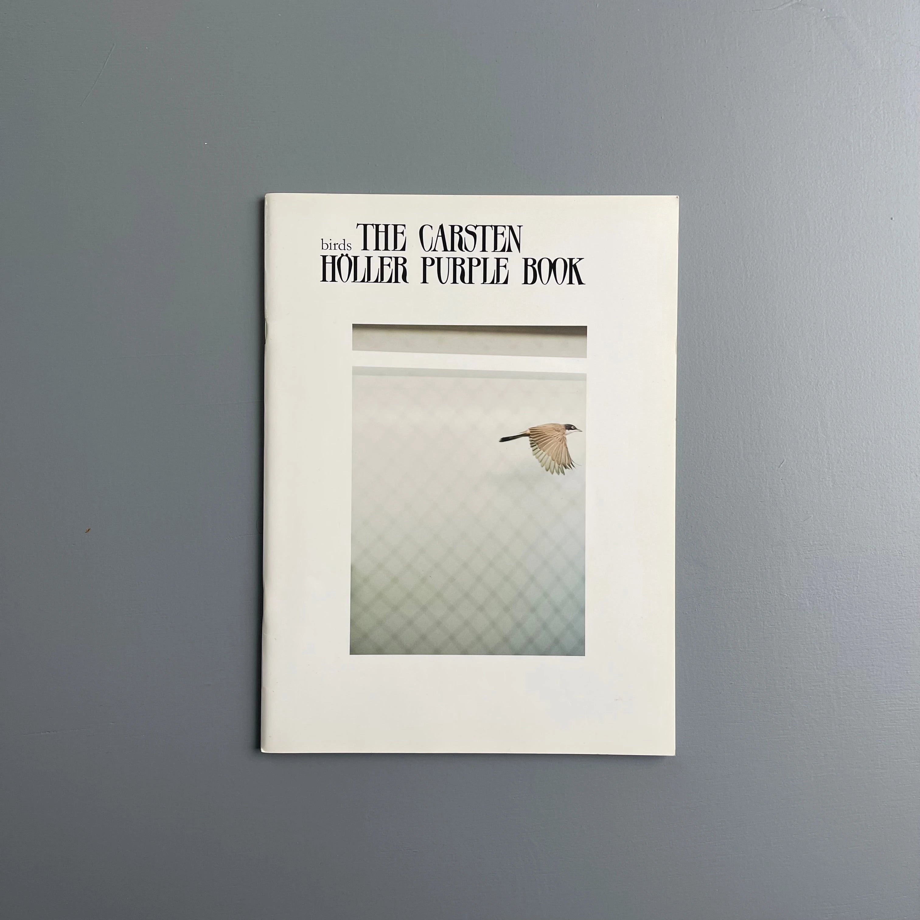 Harmony Korine - Pigxtras - Purple Book 2008 - Saint-Martin