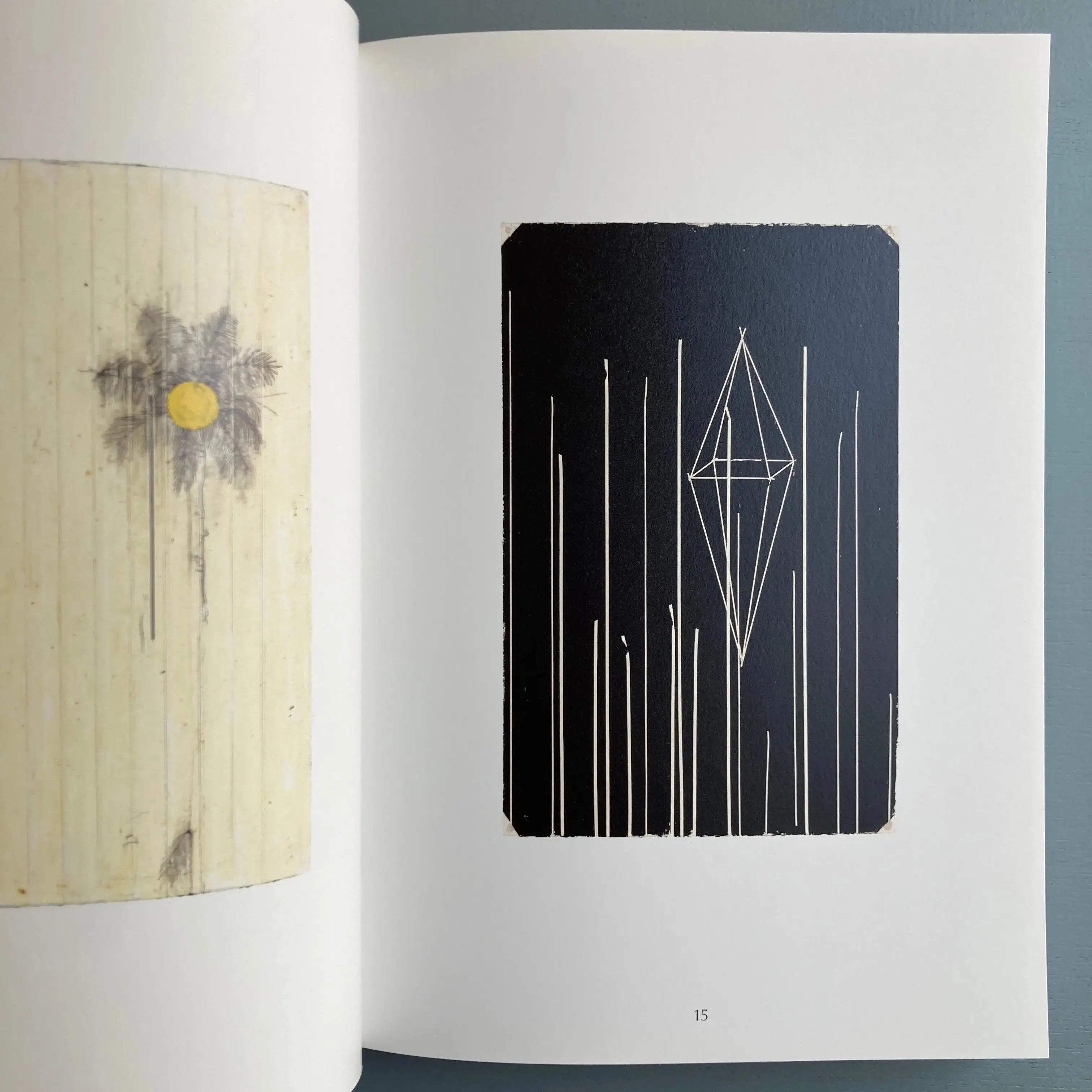 Harold Ancart - Soft Places (I) - Triangle Books 2018