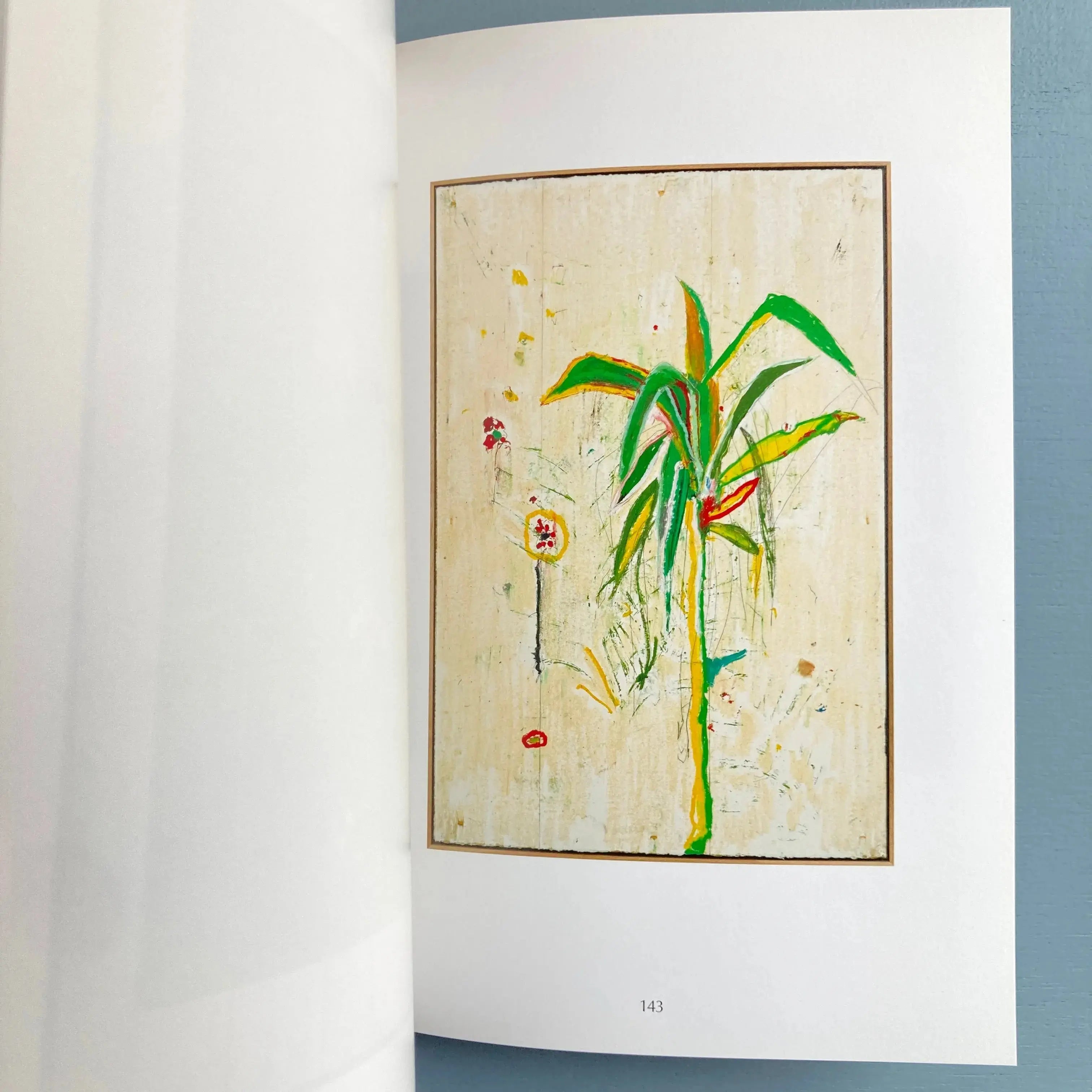 Harold Ancart 「Soft Places(II)」ハロルドアンカート TRIANGLE BOOKS | Harold Ancart | Soft Places (II)