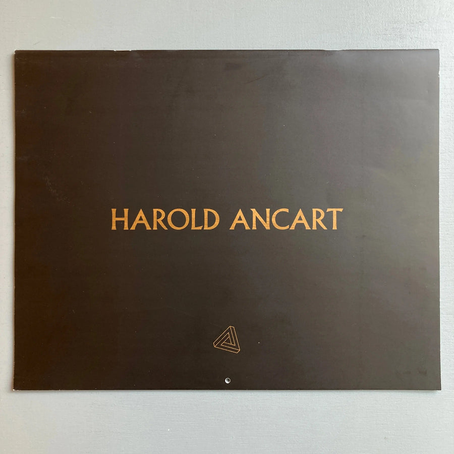 Harold Ancart - Tomorrow - Triangle Books 2013 - Saint-Martin Bookshop