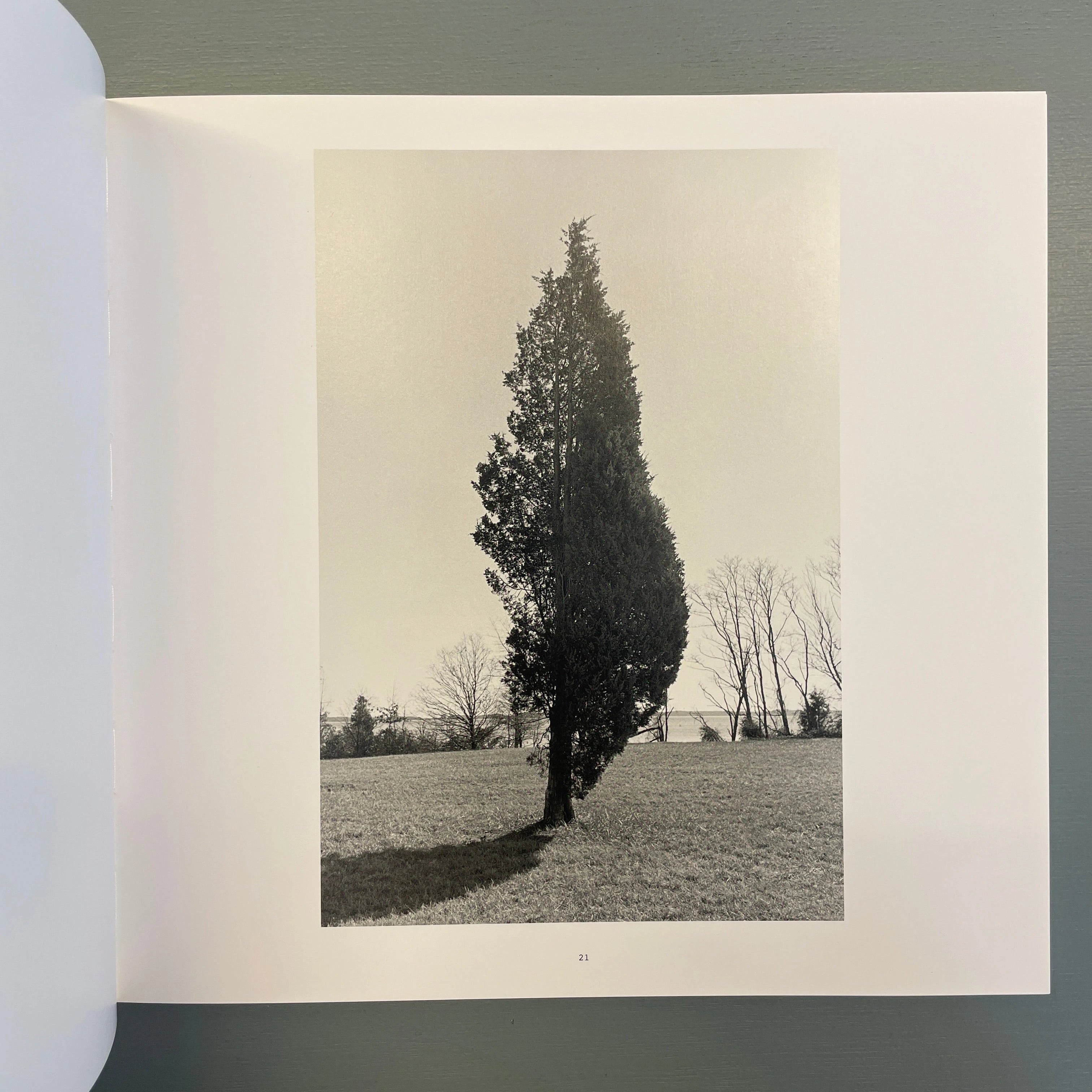 HENRY WESSEL アートブック 81-r4iu1RVL._UF1000,1000_QL80_.jpg