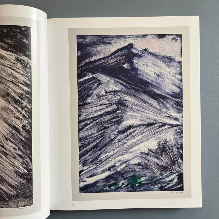 Herbert Brandl (signed) - Berge und Landschaften, Monotypien 2009/2010 - Albertina 2010 - Saint-Martin Bookshop