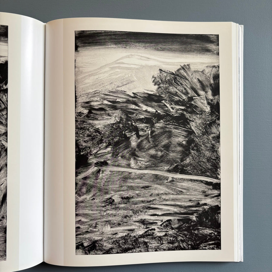 Herbert Brandl (signed) - Berge und Landschaften, Monotypien 2009/2010 - Albertina 2010