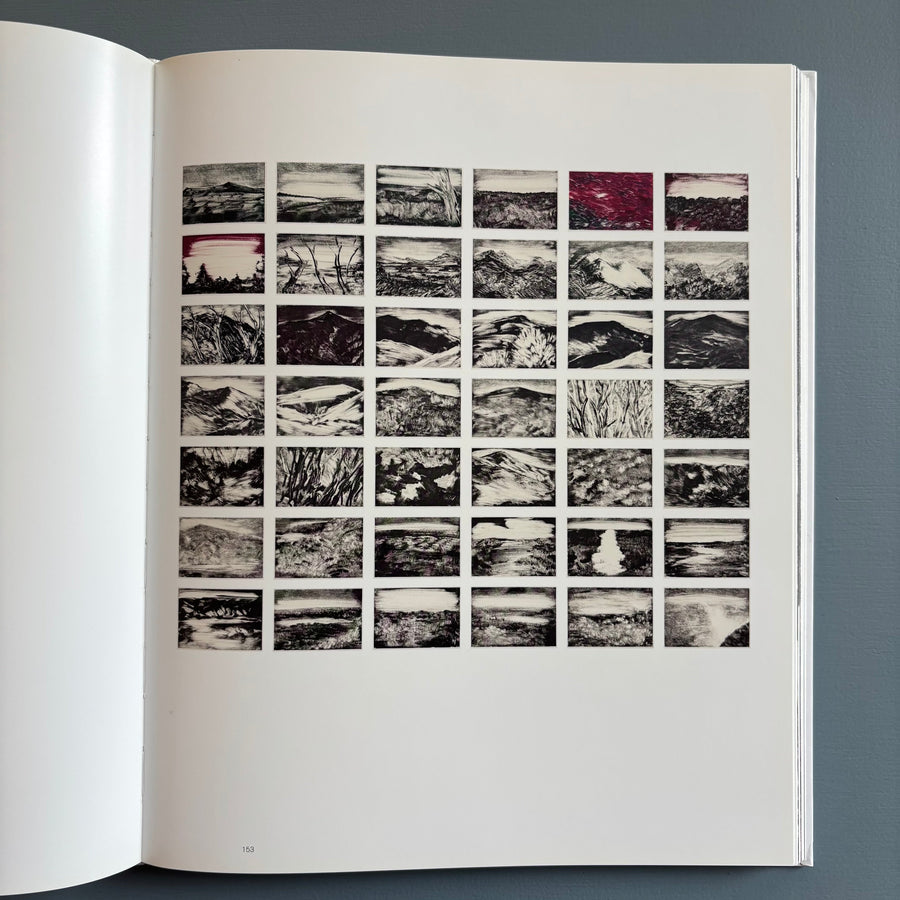 Herbert Brandl (signed) - Berge und Landschaften, Monotypien 2009/2010 - Albertina 2010