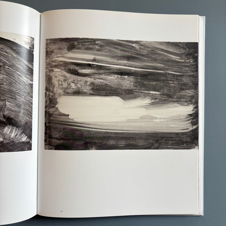 Herbert Brandl (signed) - Berge und Landschaften, Monotypien 2009/2010 - Albertina 2010