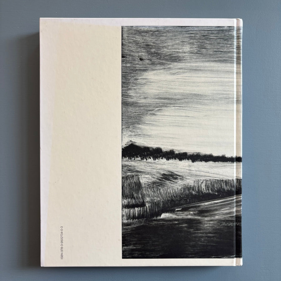 Herbert Brandl (signed) - Berge und Landschaften, Monotypien 2009/2010 - Albertina 2010