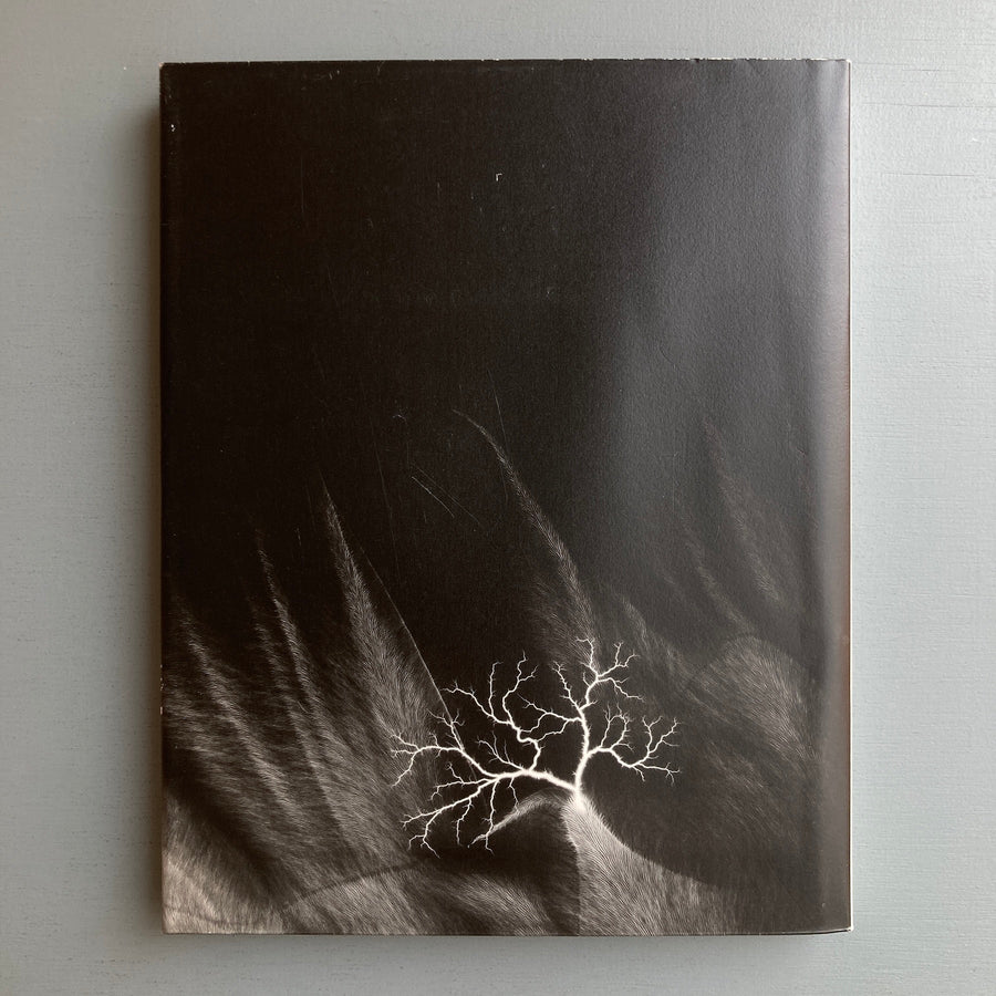 Hiroshi Sugimoto - Nature of light - Izu Photo 2009 - Saint-Martin Bookshop