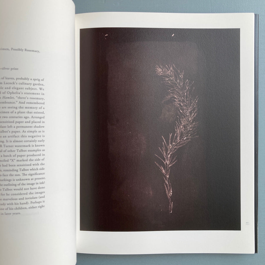 Hiroshi Sugimoto - Nature of light - Izu Photo 2009 - Saint-Martin Bookshop