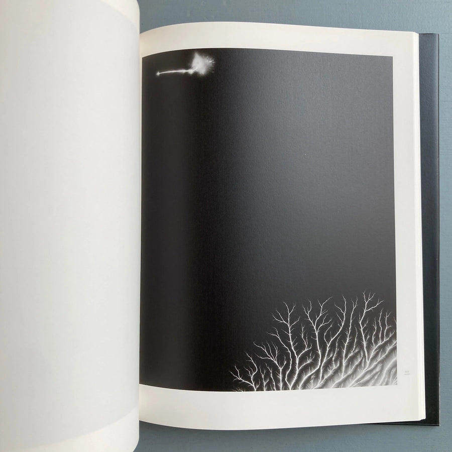 Hiroshi Sugimoto - Nature of light - Izu Photo 2009 - Saint-Martin Bookshop