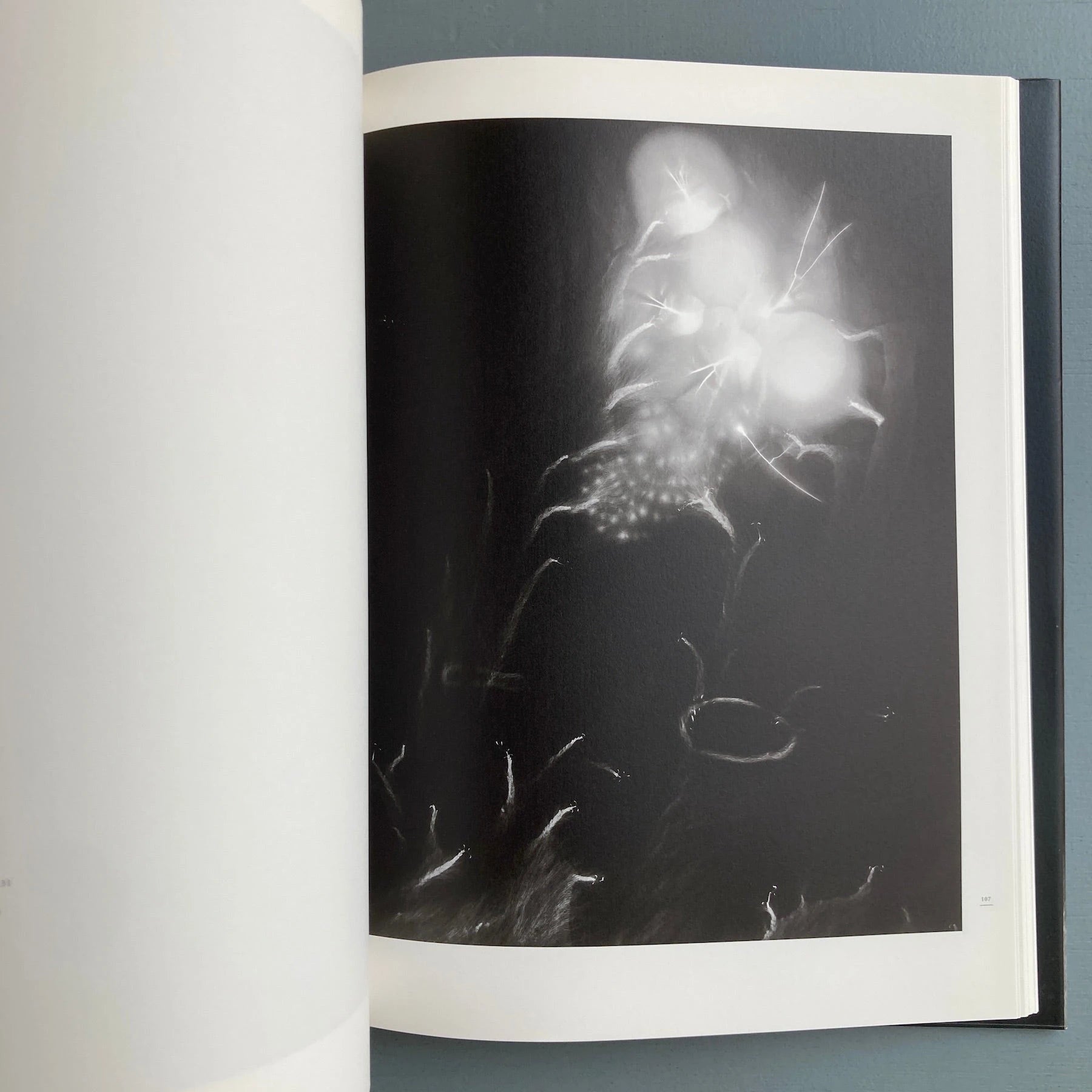 Hiroshi Sugimoto - Nature of light - Izu Photo 2009 - Saint