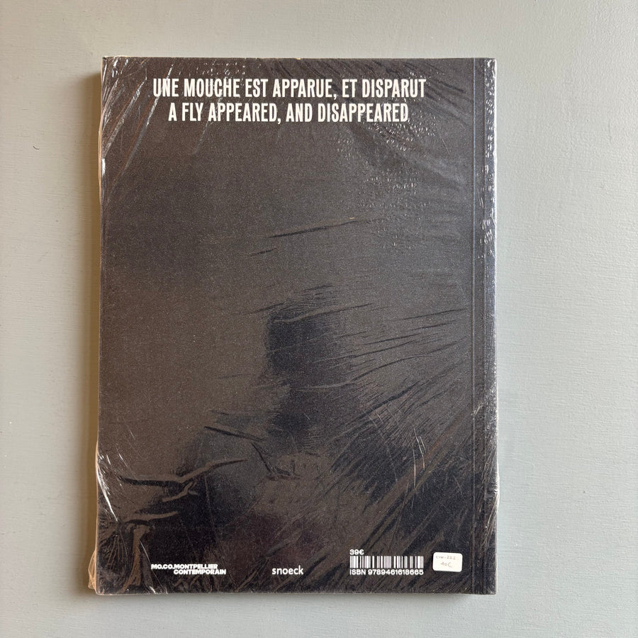 Huma Bhabha - Une mouche est apparue - MOCO/Snoeck 2023 - Saint-Martin Bookshop