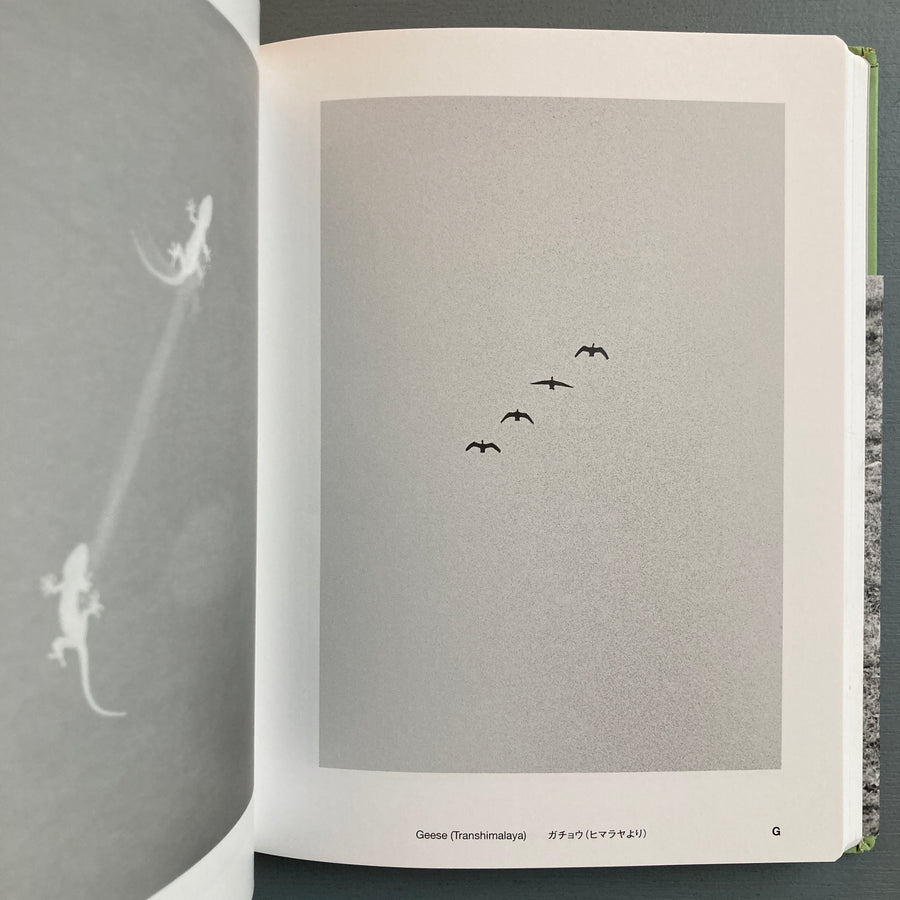 Jochen Lempert - Field Guide - Izu Photo Museum 2016 - Saint-Martin Bookshop