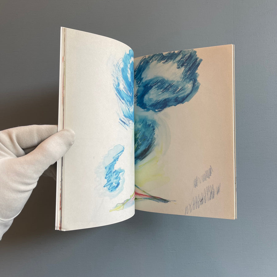 Kim Gordon - Chronicles Vol.2 - Nieves 2006 - Saint-Martin Bookshop